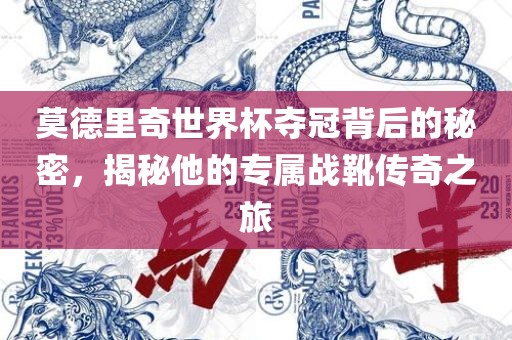 莫德里奇世界杯夺冠背后的秘密，揭秘他的专属战靴传奇之旅