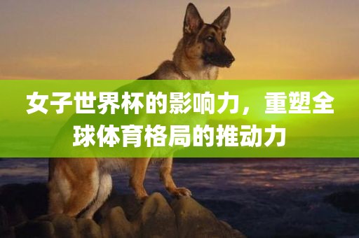 女子世界杯的影响力，重塑全球体育格局的推动力