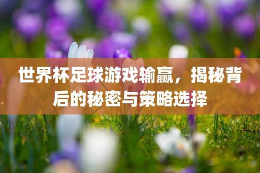 世界杯足球游戏输赢，揭秘背后的秘密与策略选择