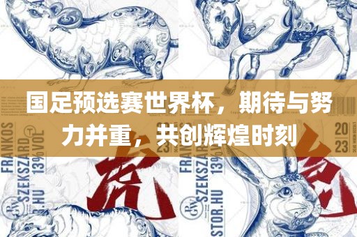 国足预选赛世界杯，期待与努力并重，共创辉煌时刻