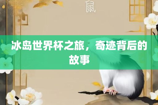 冰岛世界杯之旅，奇迹背后的故事