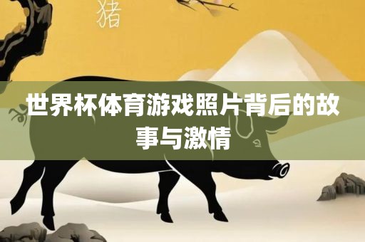 世界杯体育游戏照片背后的故事与激情