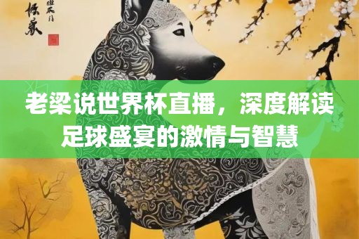 老梁说世界杯直播，深度解读足球盛宴的激情与智慧