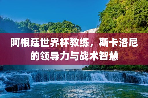 阿根廷世界杯教练，斯卡洛尼的领导力与战术智慧
