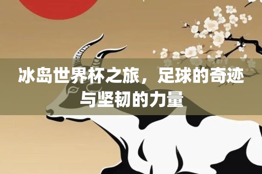 冰岛世界杯之旅，足球的奇迹与坚韧的力量