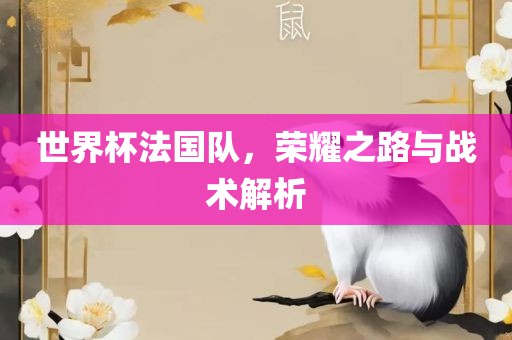 世界杯法国队，荣耀之路与战术解析