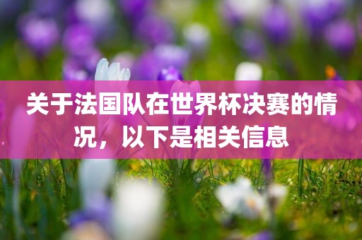 关于法国队在世界杯决赛的情况，以下是相关信息
