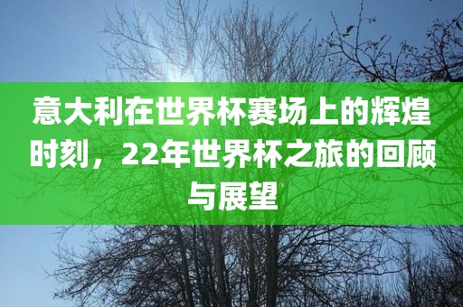意大利在世界杯赛场上的辉煌时刻，22年世界杯之旅的回顾与展望