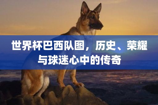 世界杯巴西队图，历史、荣耀与球迷心中的传奇