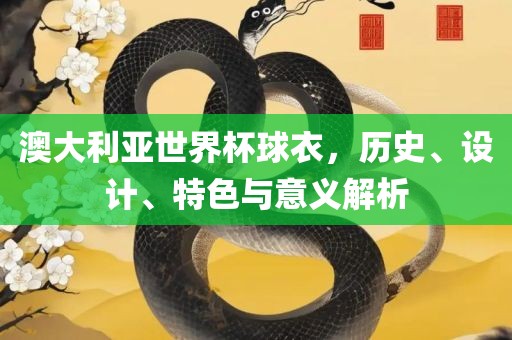 澳大利亚世界杯球衣，历史、设计、特色与意义解析