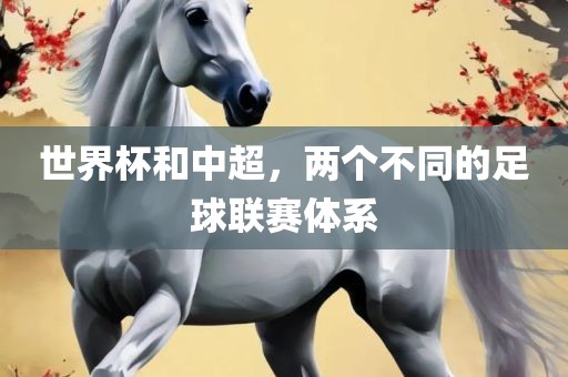 世界杯和中超，两个不同的足球联赛体系