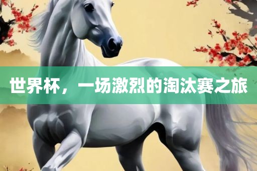世界杯，一场激烈的淘汰赛之旅