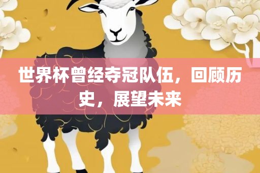 世界杯曾经夺冠队伍，回顾历史，展望未来