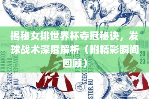 揭秘女排世界杯夺冠秘诀，发球战术深度解析（附精彩瞬间回顾）