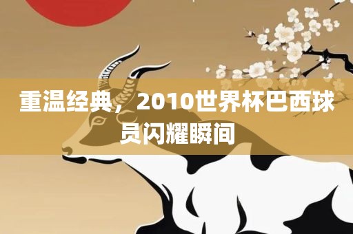 重温经典，2010世界杯巴西球员闪耀瞬间