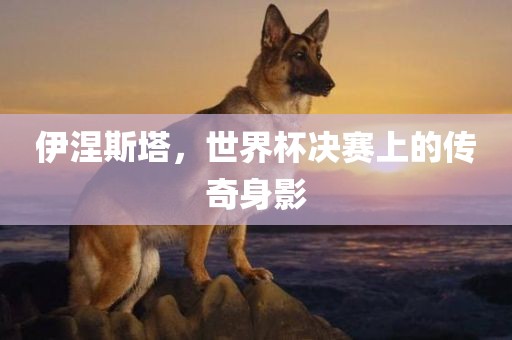 伊涅斯塔，世界杯决赛上的传奇身影