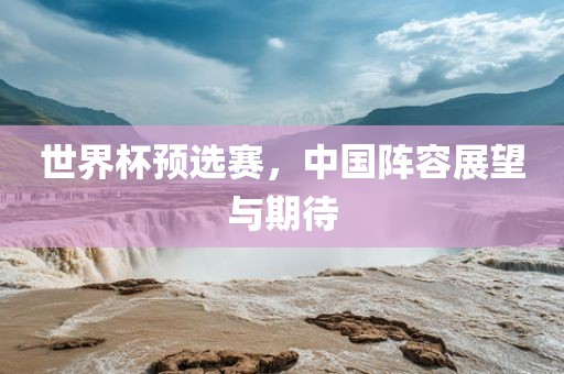世界杯预选赛，中国阵容展望与期待