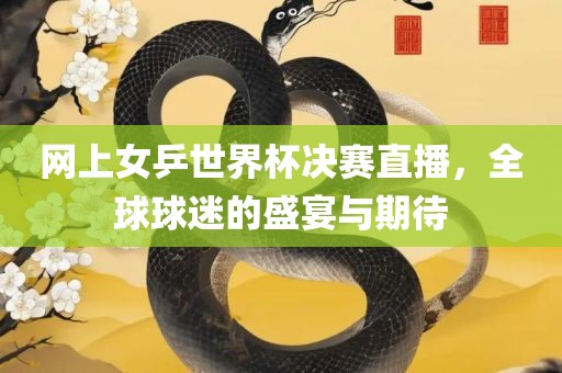 网上女乒世界杯决赛直播，全球球迷的盛宴与期待