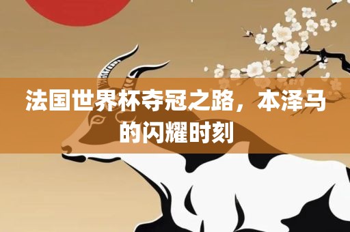 法国世界杯夺冠之路，本泽马的闪耀时刻