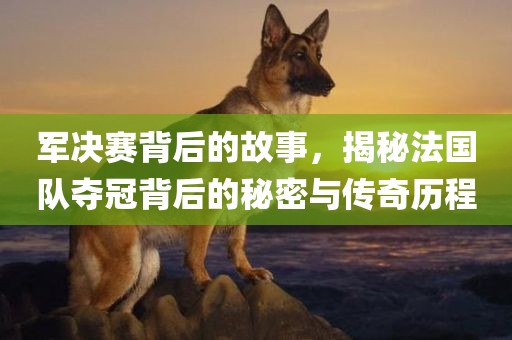 军决赛背后的故事，揭秘法国队夺冠背后的秘密与传奇历程