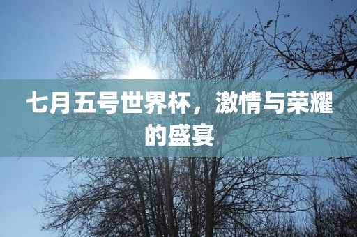 七月五号世界杯，激情与荣耀的盛宴