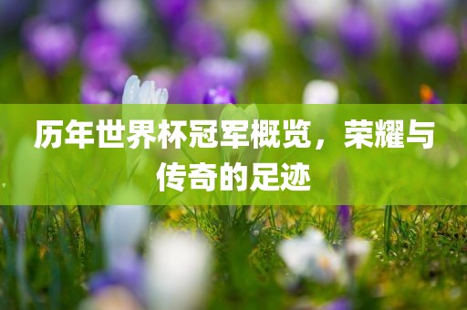 历年世界杯冠军概览，荣耀与传奇的足迹