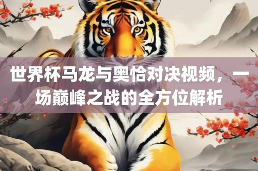 世界杯马龙与奥恰对决视频，一场巅峰之战的全方位解析