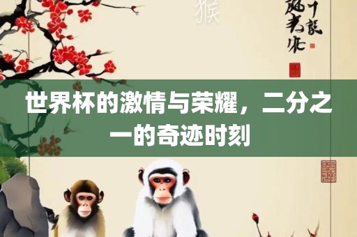 世界杯的激情与荣耀，二分之一的奇迹时刻