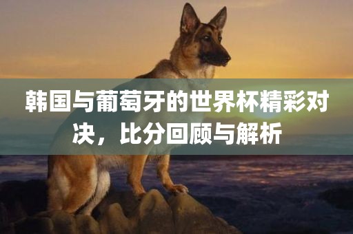韩国与葡萄牙的世界杯精彩对决，比分回顾与解析