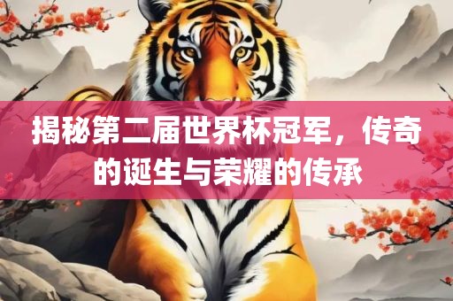 揭秘第二届世界杯冠军，传奇的诞生与荣耀的传承