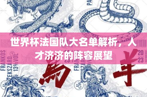世界杯法国队大名单解析，人才济济的阵容展望