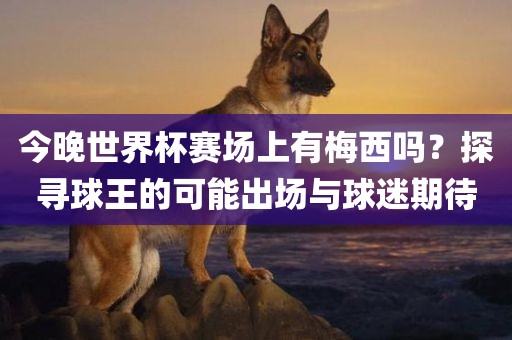 今晚世界杯赛场上有梅西吗？探寻球王的可能出场与球迷期待