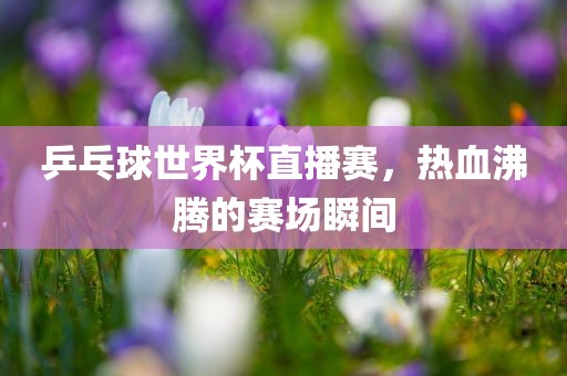 乒乓球世界杯直播赛，热血沸腾的赛场瞬间