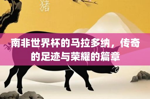 南非世界杯的马拉多纳，传奇的足迹与荣耀的篇章