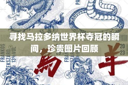 寻找马拉多纳世界杯夺冠的瞬间，珍贵图片回顾
