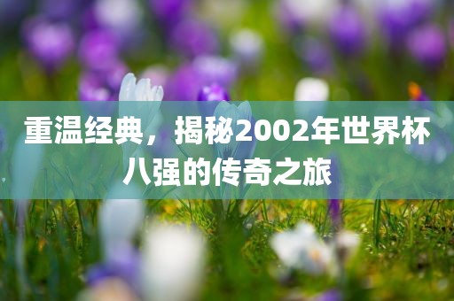 重温经典，揭秘2002年世界杯八强的传奇之旅