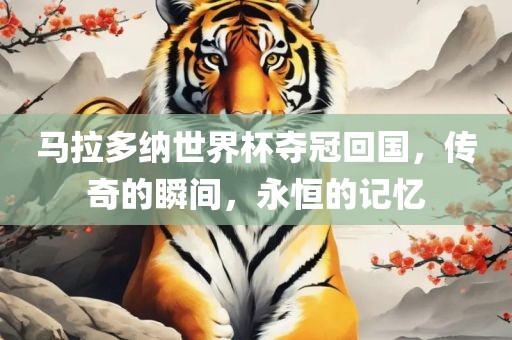 马拉多纳世界杯夺冠回国，传奇的瞬间，永恒的记忆