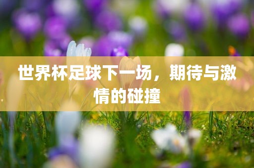 世界杯足球下一场，期待与激情的碰撞
