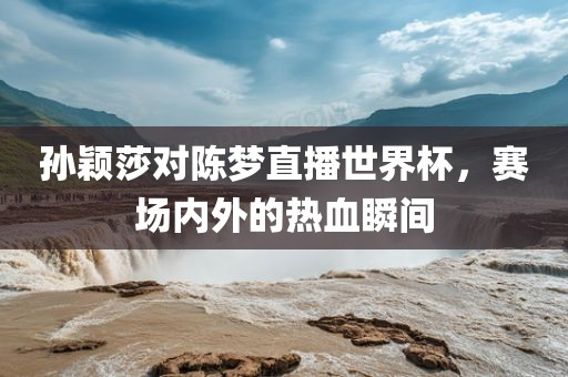 孙颖莎对陈梦直播世界杯，赛场内外的热血瞬间