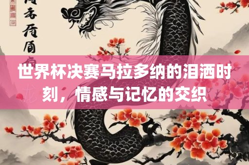 世界杯决赛马拉多纳的泪洒时刻，情感与记忆的交织