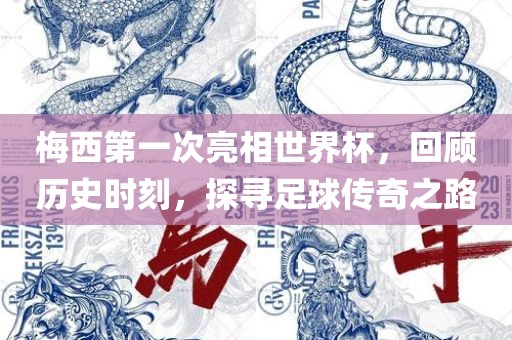 梅西第一次亮相世界杯，回顾历史时刻，探寻足球传奇之路