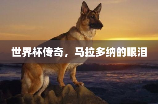 世界杯传奇，马拉多纳的眼泪