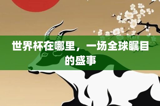 世界杯在哪里，一场全球瞩目的盛事