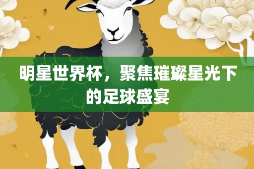 明星世界杯，聚焦璀璨星光下的足球盛宴
