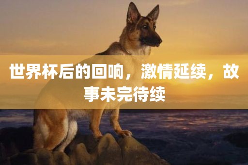 世界杯后的回响，激情延续，故事未完待续