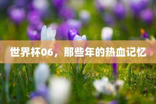 世界杯06，那些年的热血记忆