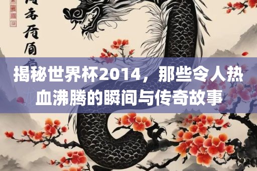 揭秘世界杯2014，那些令人热血沸腾的瞬间与传奇故事