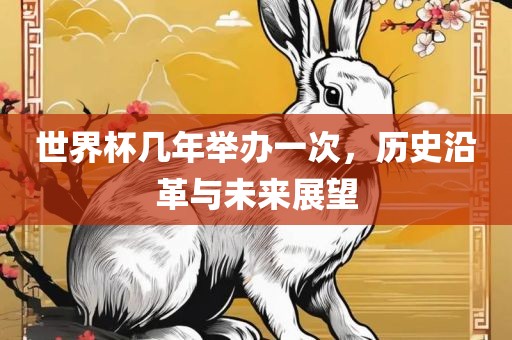 世界杯几年举办一次，历史沿革与未来展望