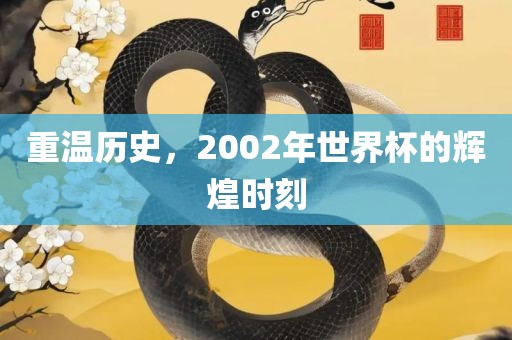 重温历史，2002年世界杯的辉煌时刻