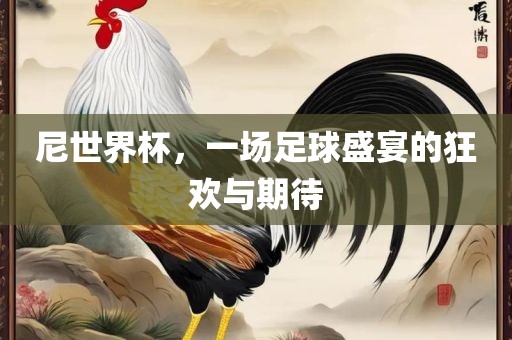 尼世界杯，一场足球盛宴的狂欢与期待